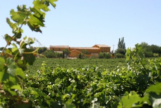 Nuestra bodega